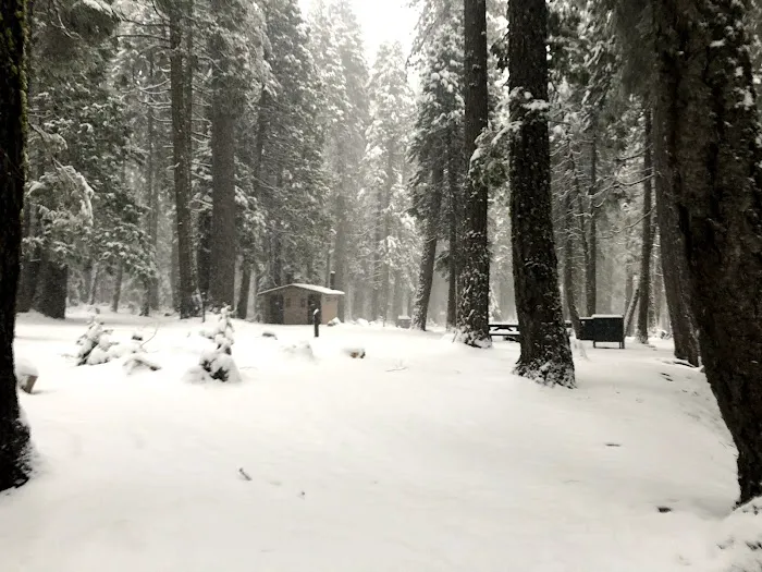 North Fork Campground Picture 10