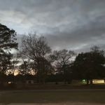 Mobile Park