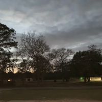 Mobile Park ico