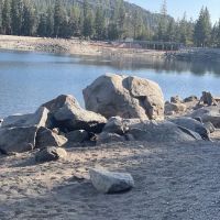 Lodgepole Campground ico