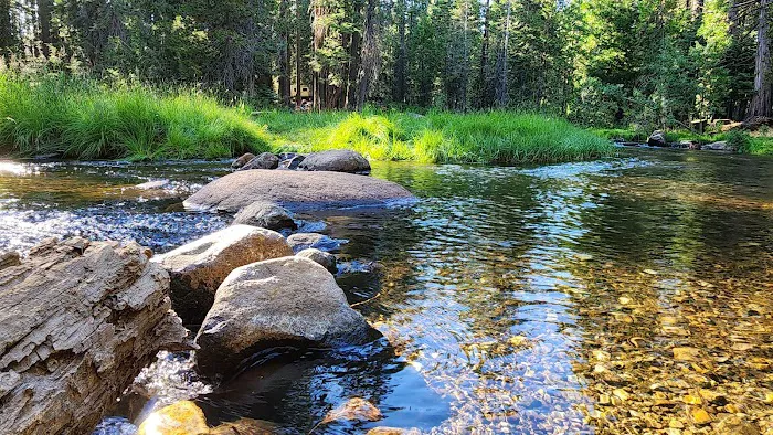 Lodgepole Campground Picture 2