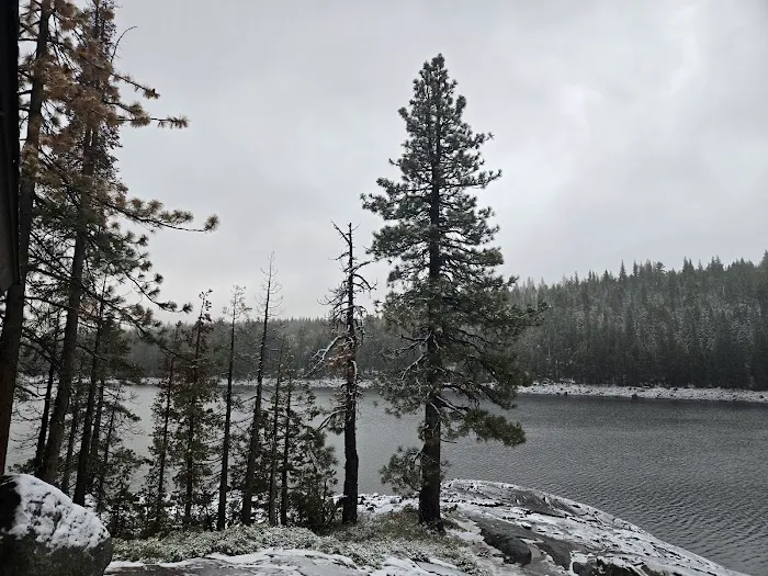 Lodgepole Campground Picture 4