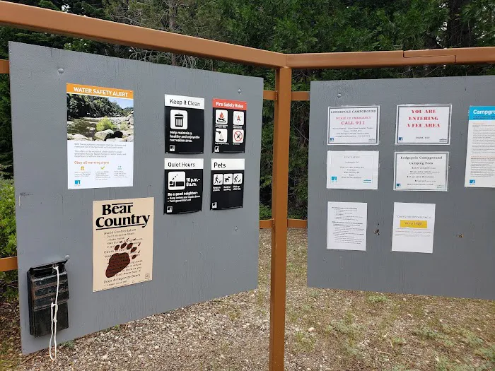 Lodgepole Campground Picture 9