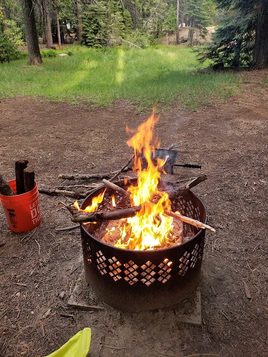 Lodgepole Campground Picture 7