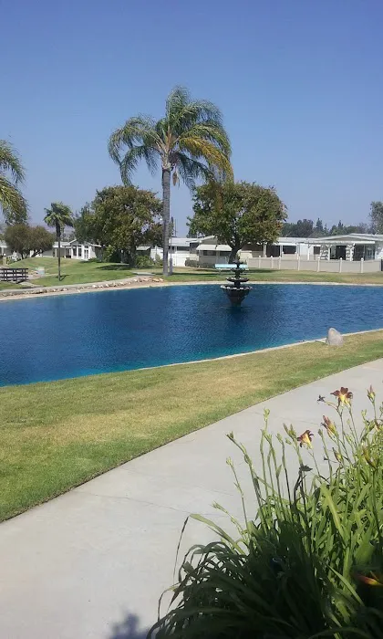 Village Grove Mobile Home Picture 5