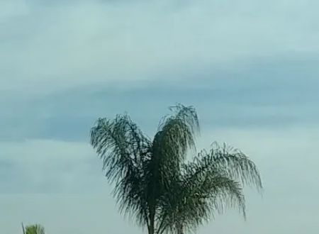 Countrywood Estates