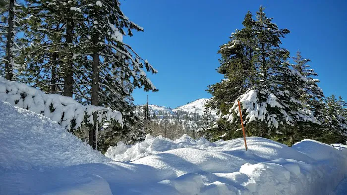 Cisco Grove Campground & RV Picture 2