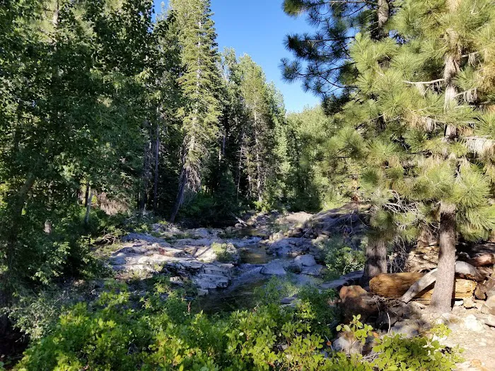 Cisco Grove Campground & RV Picture 9