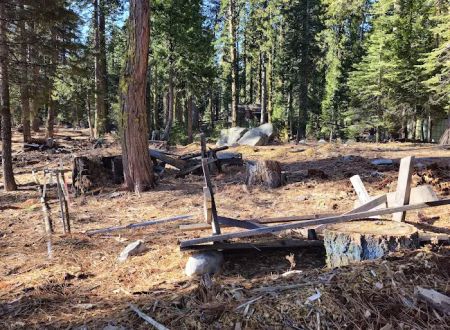 Rucker Lake Camp
