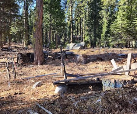 Rucker Lake Camp