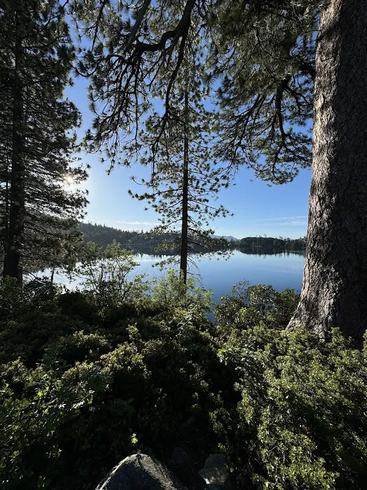Blue Lake Dispersed Campground Picture 3