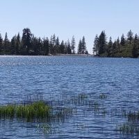 Blue Lake Dispersed Campground ico