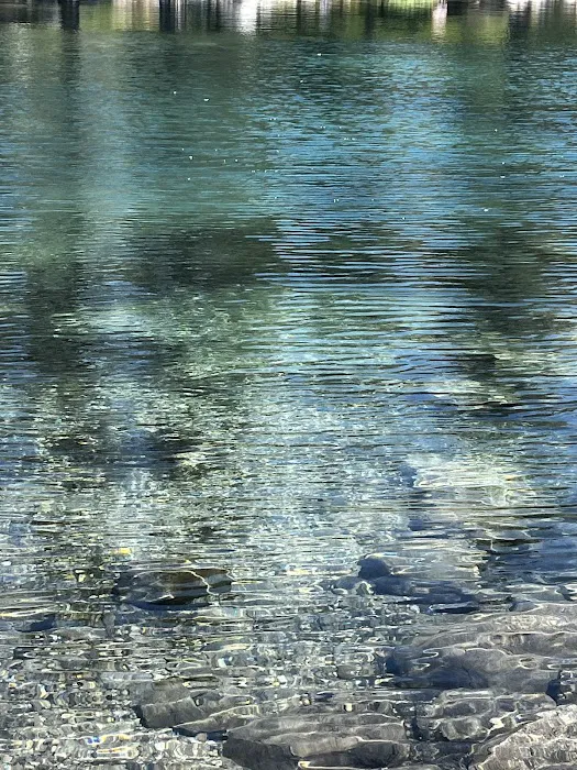 Blue Lake Dispersed Campground Picture 5