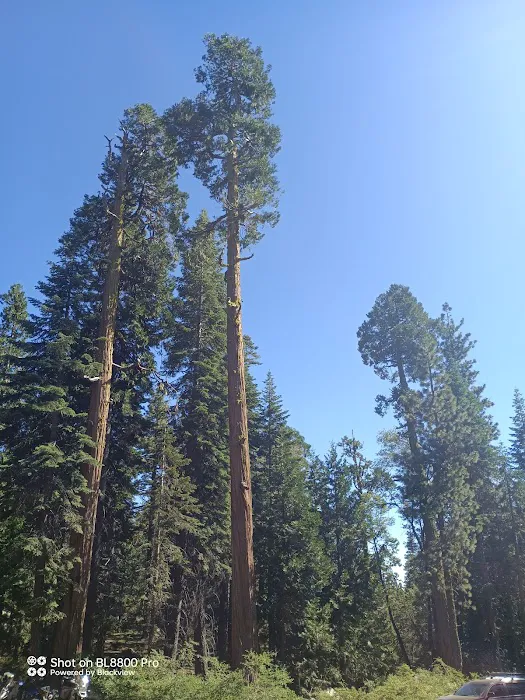 Blue Lake Dispersed Campground Picture 6