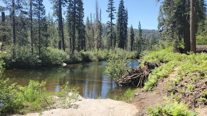 Big Bend Group Campground (Yuba River) Picture 2