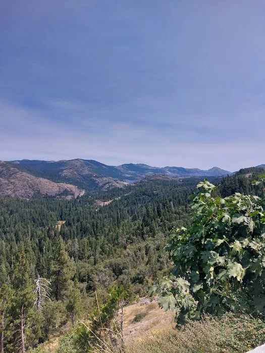 Big Bend Group Campground (Yuba River) Picture 5