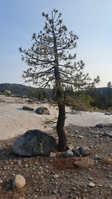 Big Bend Group Campground (Yuba River) Picture 6