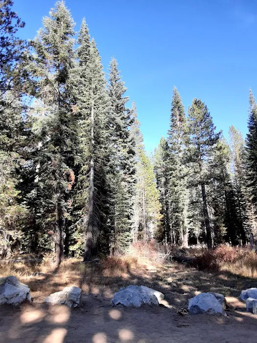 Woodchuck Campground Picture 3
