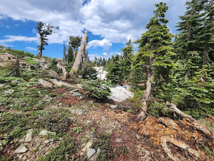 Grouse Ridge Lookout Picture 8