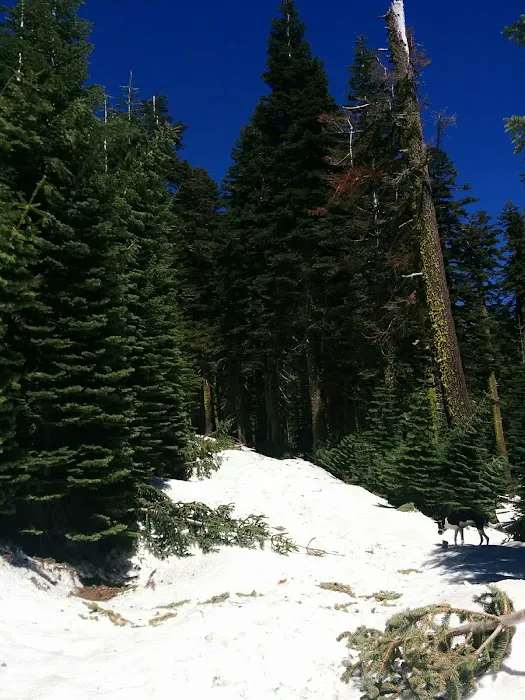 Grouse Ridge Lookout Picture 10