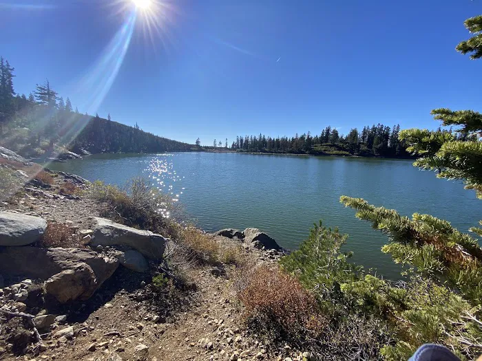 Carr-Feeley Lake Campground and Trailhead Picture 3