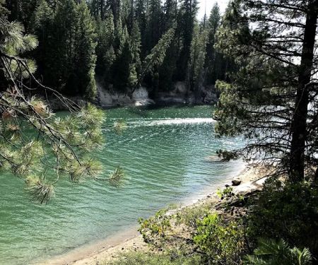Azalea Cove Campground (recgovnpsdata)