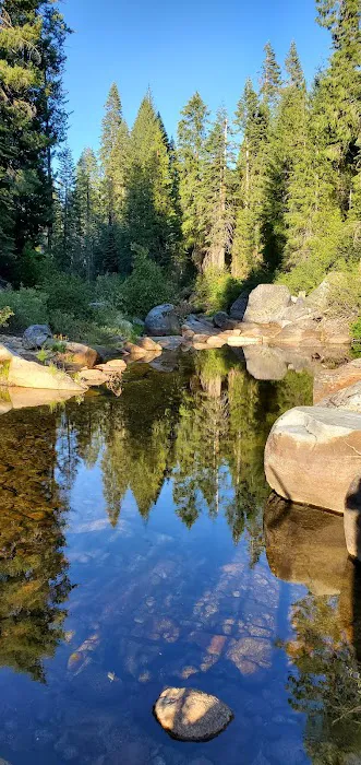 Azalea Cove Campground (recgovnpsdata) Picture 4