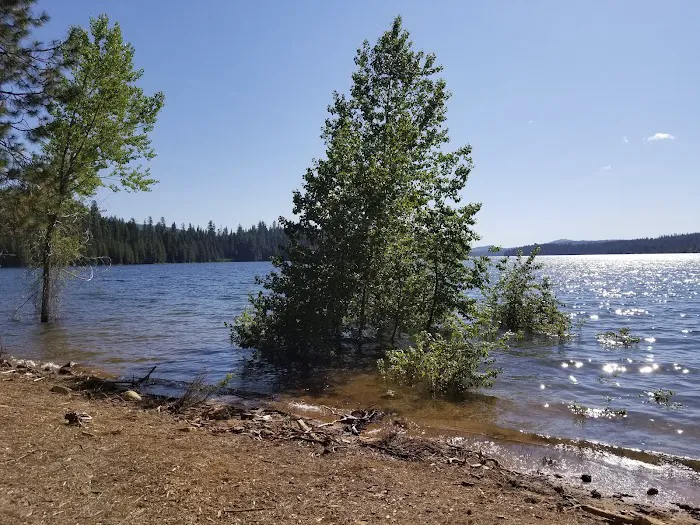 Azalea Cove Campground (recgovnpsdata) Picture 5