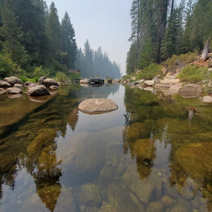 Azalea Cove Campground (recgovnpsdata) Picture 8