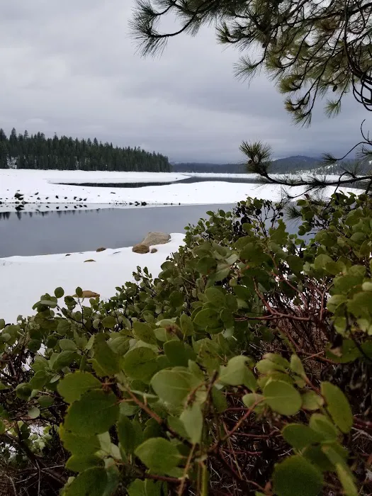 Azalea Cove Campground (recgovnpsdata) Picture 10