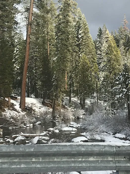 Big Silver Group Campground Picture 10