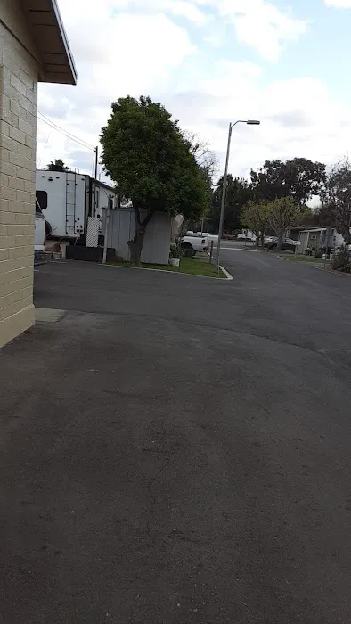 Paradise Travel Trailer Park Picture 4