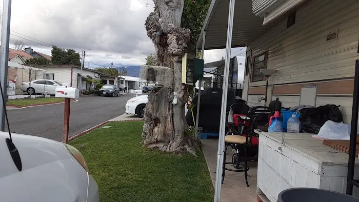 Paradise Travel Trailer Park Picture 3