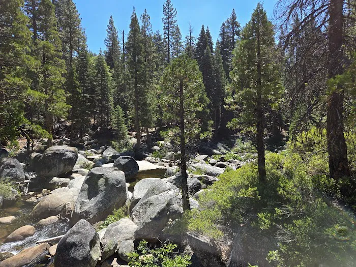 Gerle Creek Campground Picture 5