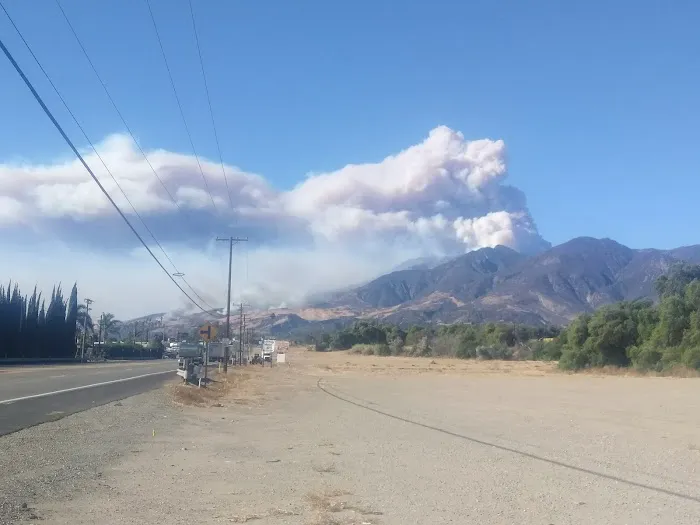 El Dorado Estates Picture 3