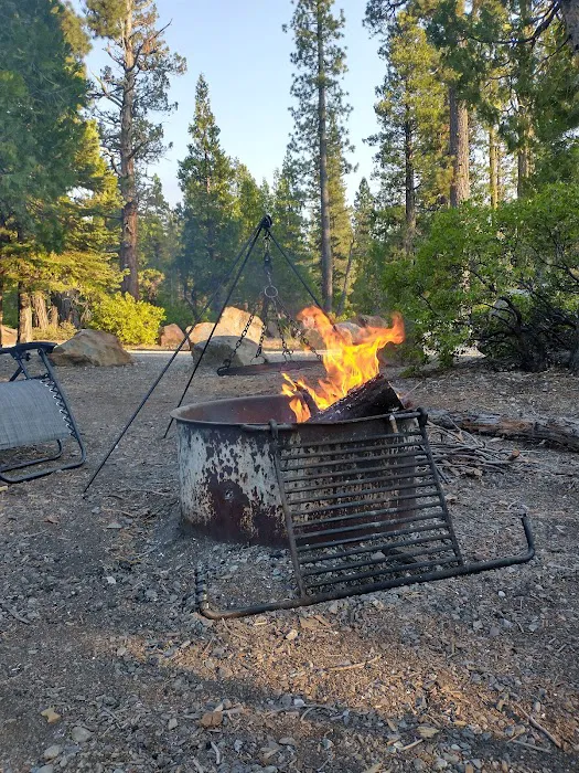 Airport Flat Campground Picture 7