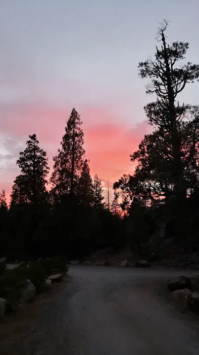 Airport Flat Campground Picture 6