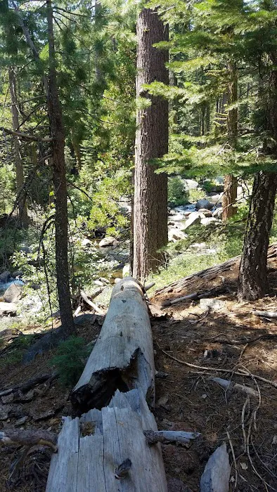 Airport Flat Campground Picture 8