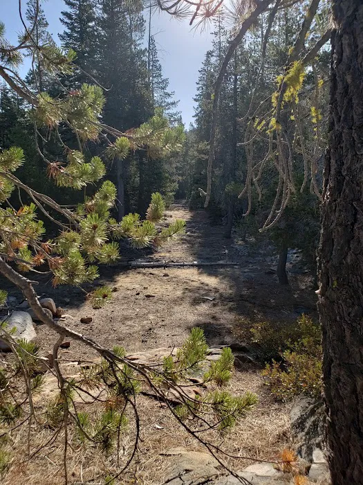 Airport Flat Campground Picture 10