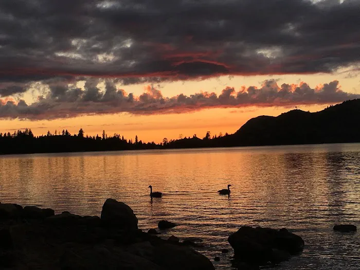 Loon Lake Campground Picture 8