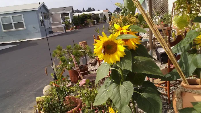 Sunny Acres Mobile Home Park Picture 3