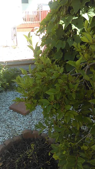 Sunny Acres Mobile Home Park Picture 4