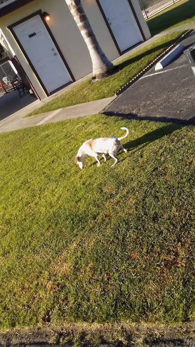 Sunny Acres Mobile Home Park Picture 10