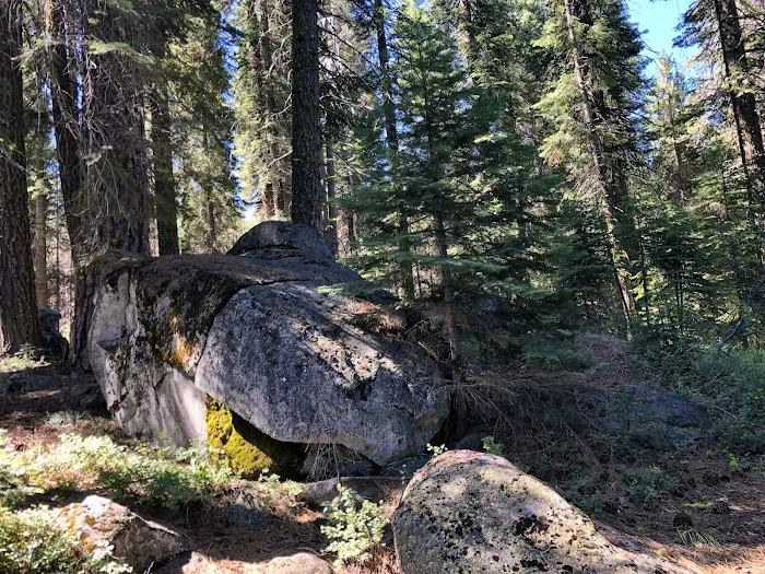 Silver Creek Group Campground Picture 3