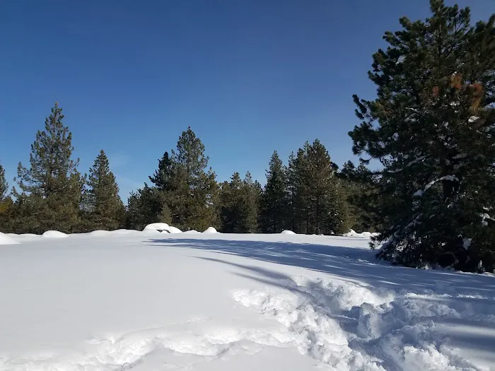 Silver Creek Group Campground Picture 1
