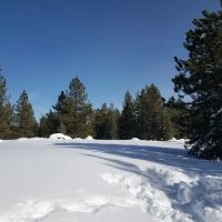 Silver Creek Group Campground ico