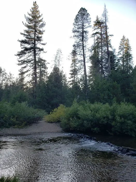 Silver Creek Group Campground Picture 4