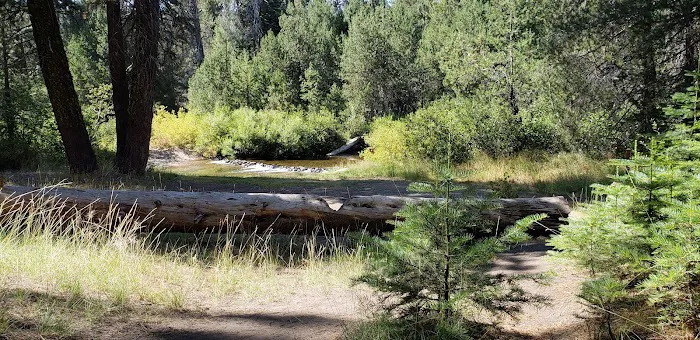 Silver Creek Group Campground Picture 9