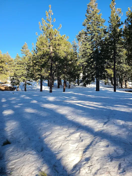 Blue Ridge Campground Picture 7