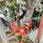 Anacapa Mobile Home Park